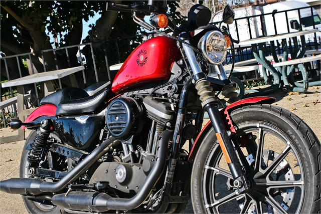 2019 Harley-Davidson Sportster Iron 883 at Ventura Harley-Davidson
