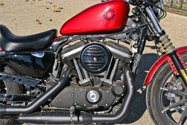 2019 Harley-Davidson Sportster Iron 883 at Ventura Harley-Davidson