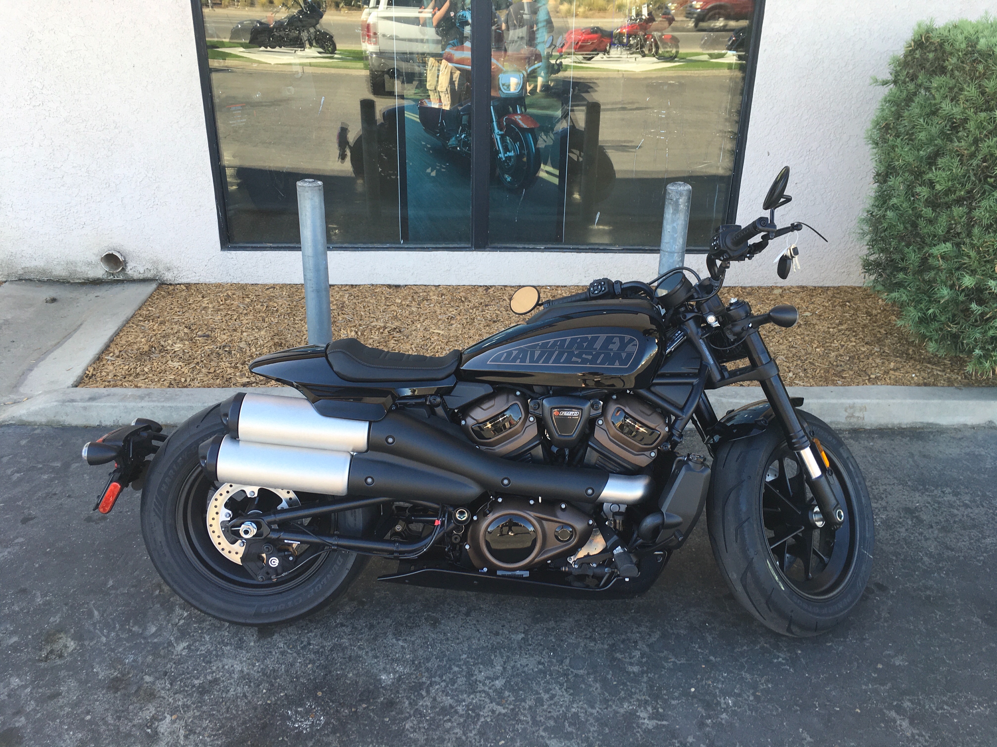 2024 Harley-Davidson Sportster at Fresno Harley-Davidson