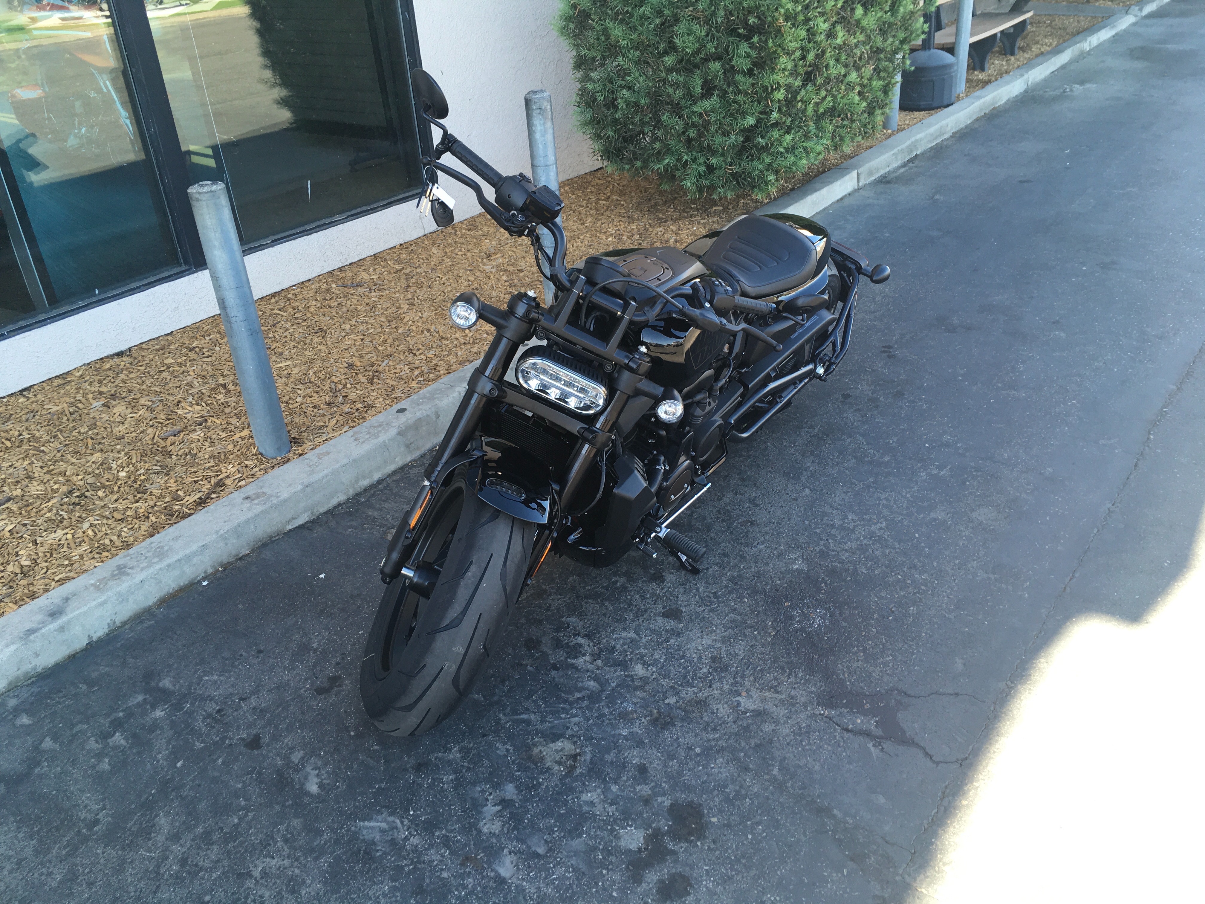 2024 Harley-Davidson Sportster at Fresno Harley-Davidson