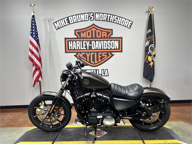2021 Harley-Davidson XL883N at Mike Bruno's Northshore Harley-Davidson