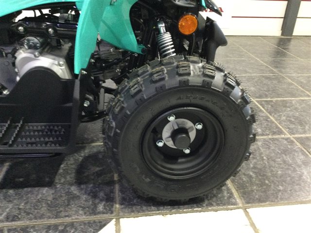 2024 Yamaha YFZ 50 at Cycle Max