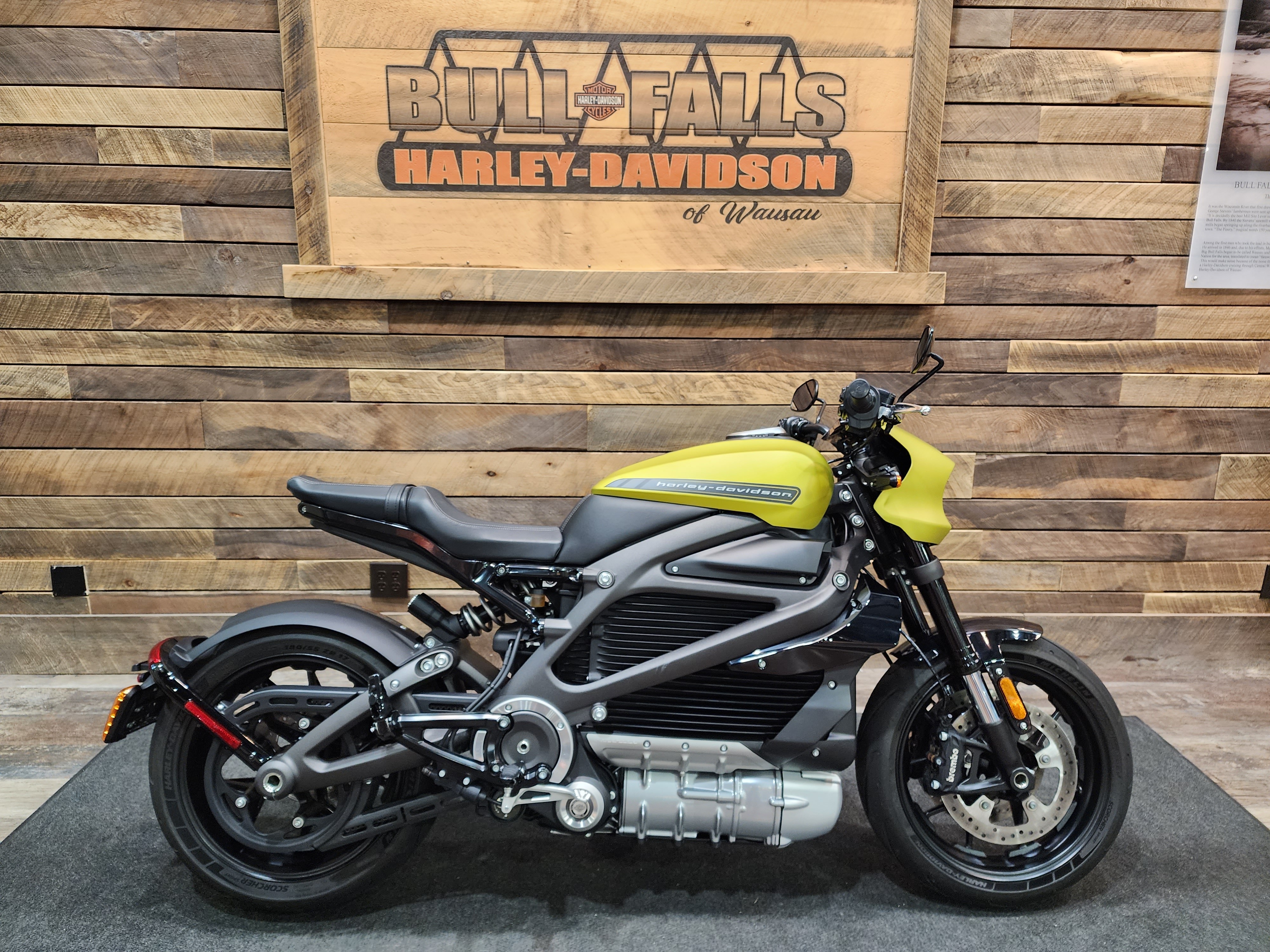 2020 Harley-Davidson Electric LiveWire at Bull Falls Harley-Davidson