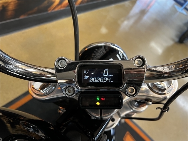 2020 Harley-Davidson Softail Standard at Hellbender Harley-Davidson