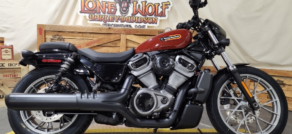 2024 Harley-Davidson Sportster Nightster Special at Lone Wolf Harley-Davidson