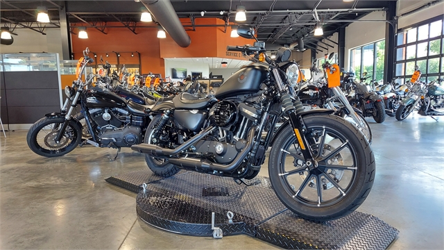 2021 Harley-Davidson Iron 883' at Keystone Harley-Davidson