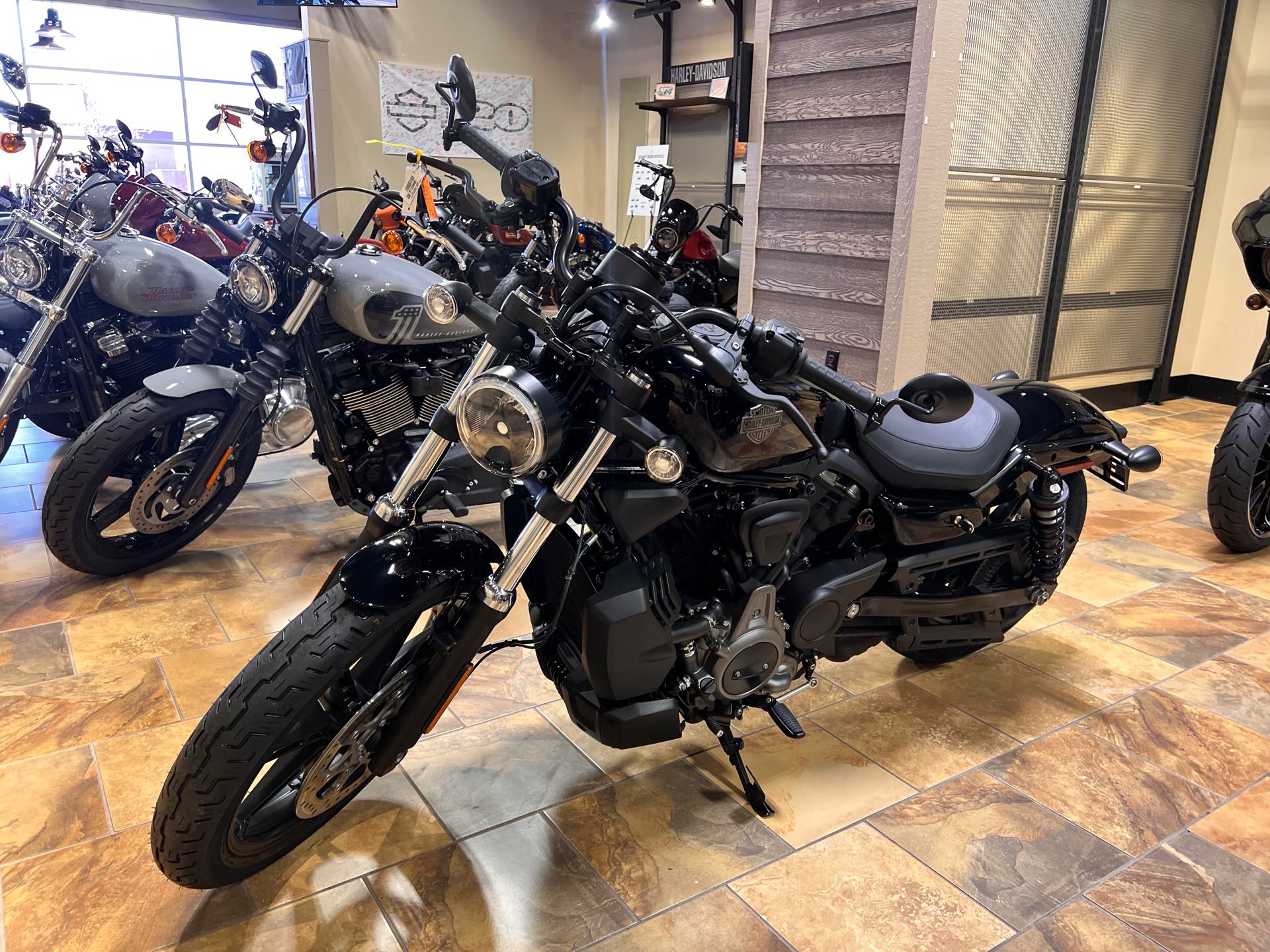 2024 Harley-Davidson Sportster Nightster at Man O'War Harley-Davidson®
