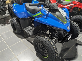 Our CFMoto Inventory