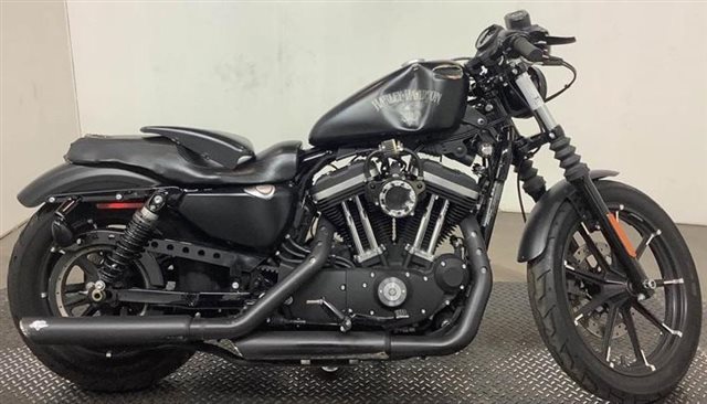 2016 Harley-Davidson Sportster Iron 883 at Cycle Max