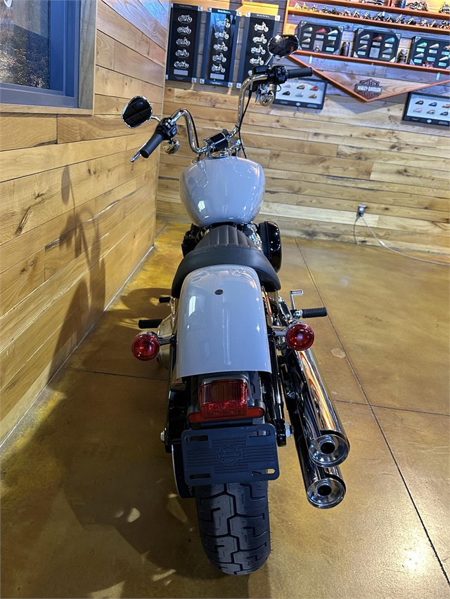 2024 Harley-Davidson Softail Standard at Thunder Road Harley-Davidson