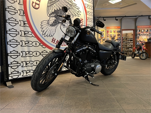 2014 Harley-Davidson Sportster Iron 883 at Great River Harley-Davidson