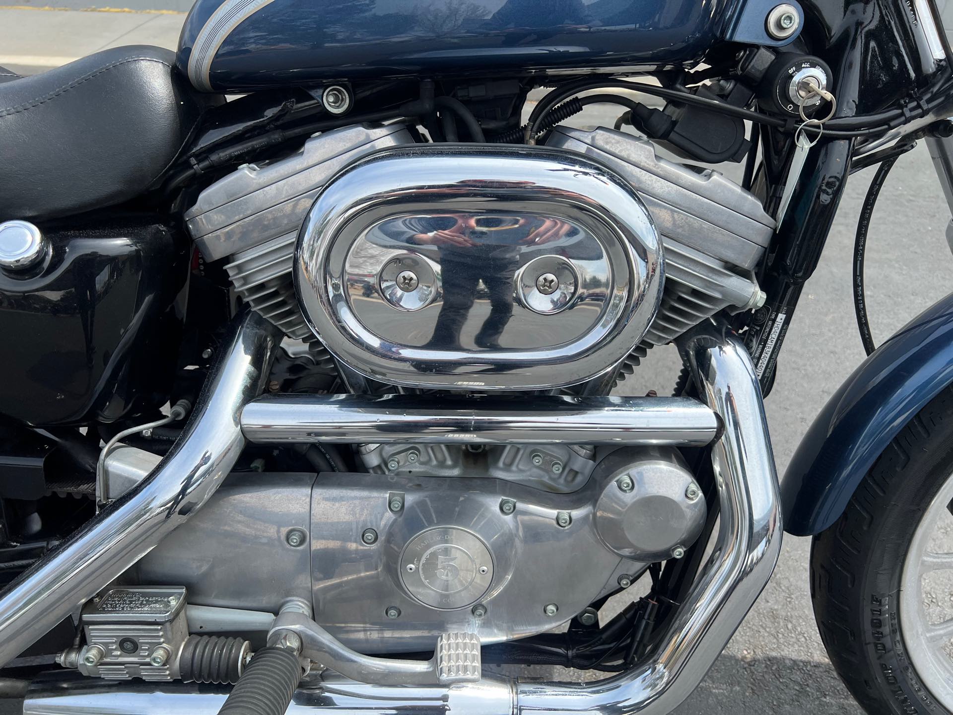 2003 Harley-Davidson XL883 at Aces Motorcycles - Fort Collins