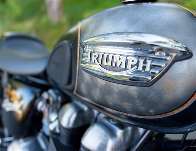 2004 Triumph Thruxton 900 at Ken & Joe's Honda Kawasaki KTM