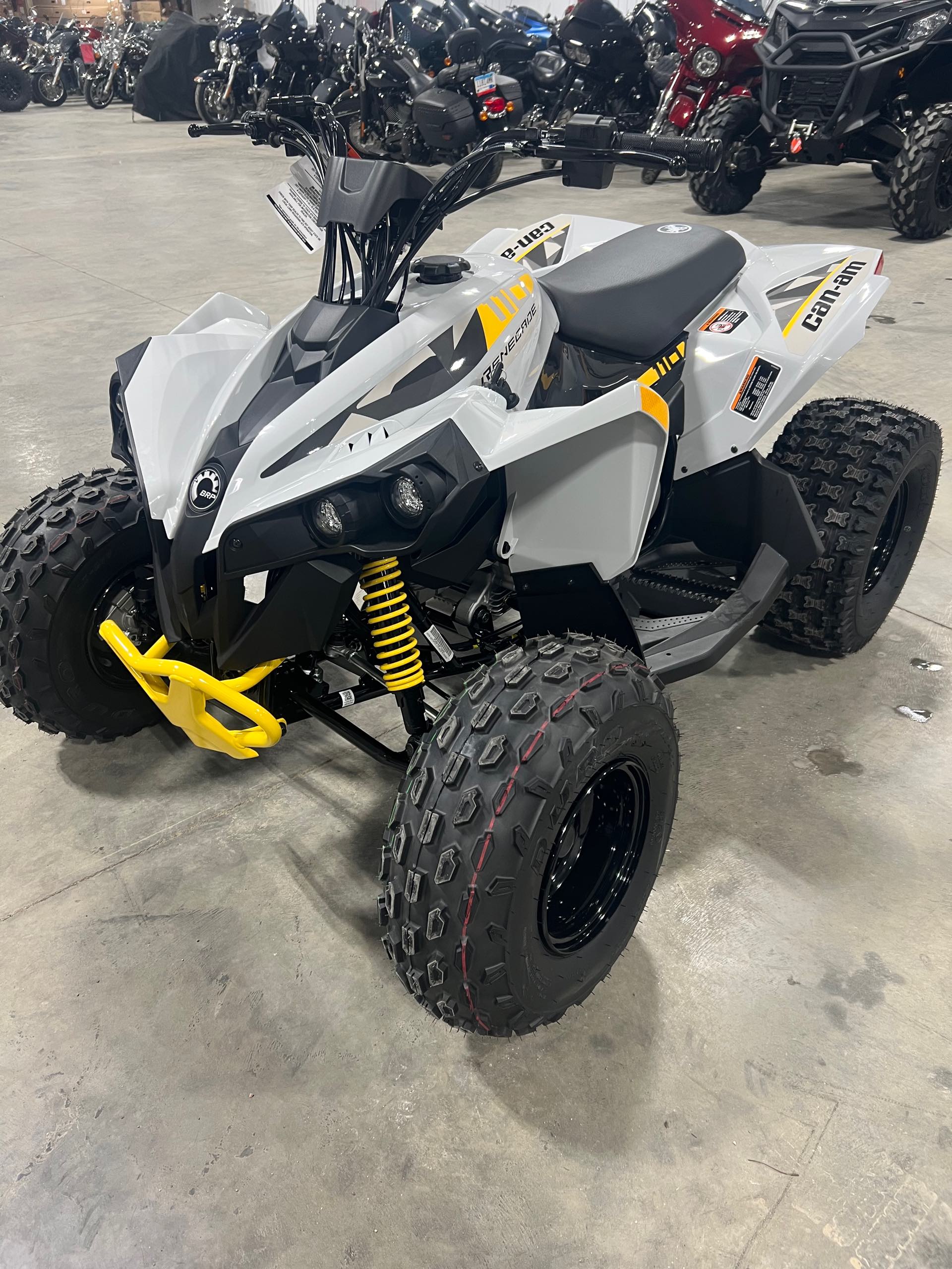 2023 Can-Am Renegade 110 EFI at Iron Hill Powersports