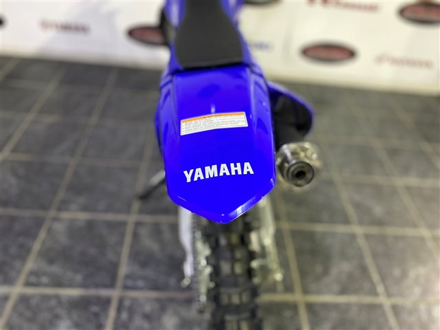 2024 Yamaha TT-R 230 at Cycle Max