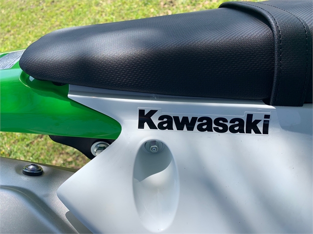 2021 Kawasaki KLX230 ABS 230 ABS at Powersports St. Augustine