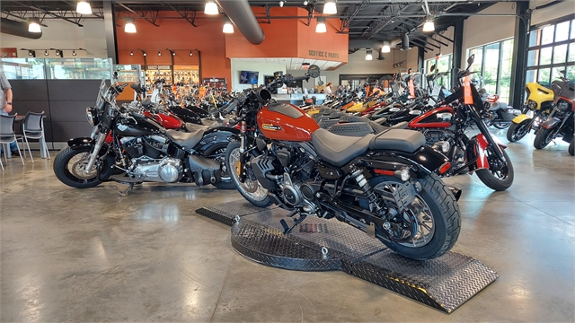 2024 Harley-Davidson Sportster Nightster Special at Keystone Harley-Davidson