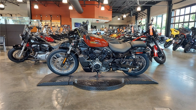 2024 Harley-Davidson Sportster Nightster Special at Keystone Harley-Davidson