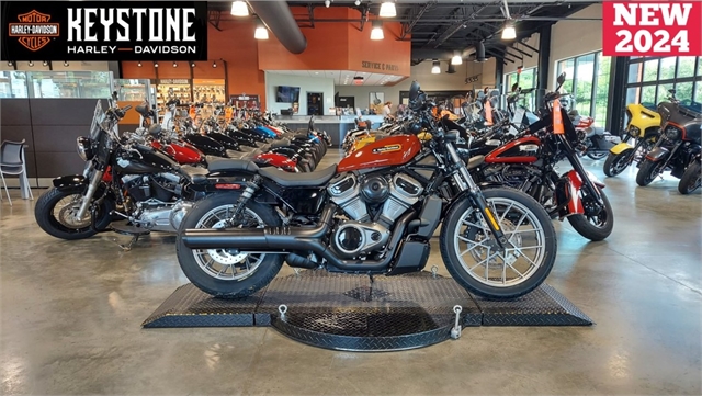 2024 Harley-Davidson Sportster Nightster Special at Keystone Harley-Davidson