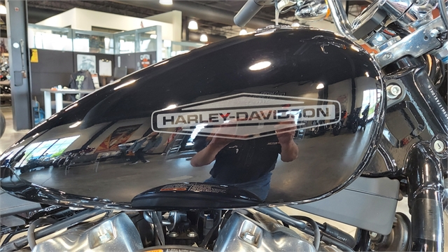 2021 Harley-Davidson Cruiser Softail Standard at Keystone Harley-Davidson