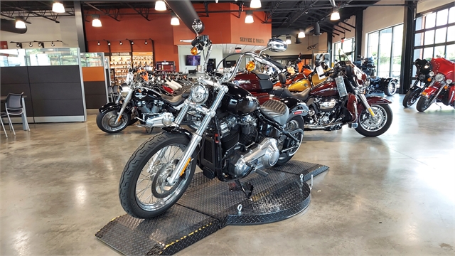 2021 Harley-Davidson Cruiser Softail Standard at Keystone Harley-Davidson