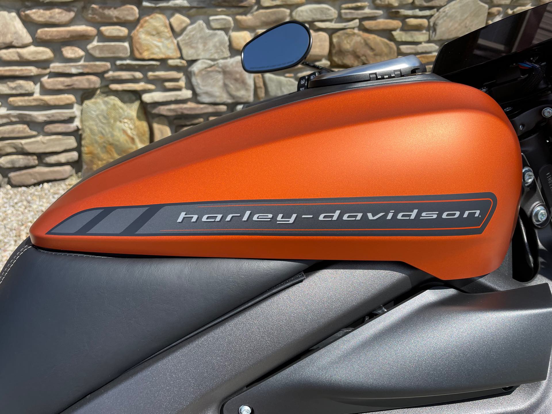 2020 Harley-Davidson Electric LiveWire at Arkport Cycles