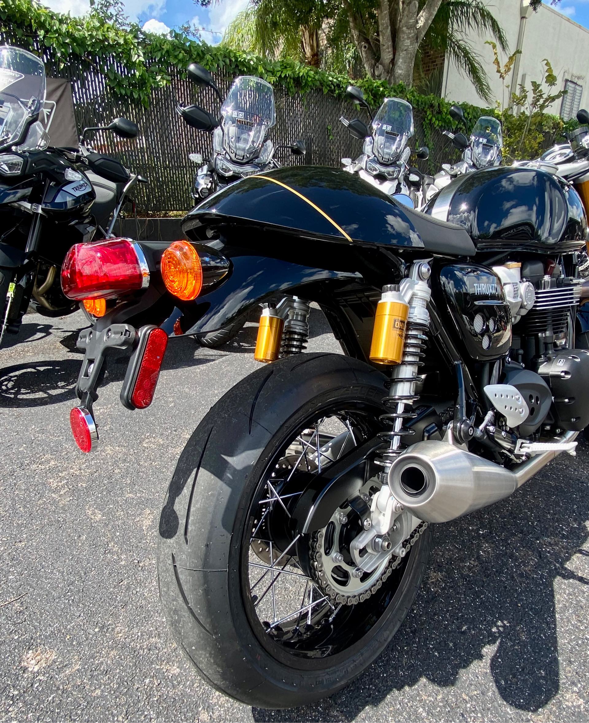 2024 Triumph Thruxton Rs RS at Tampa Triumph, Tampa, FL 33614