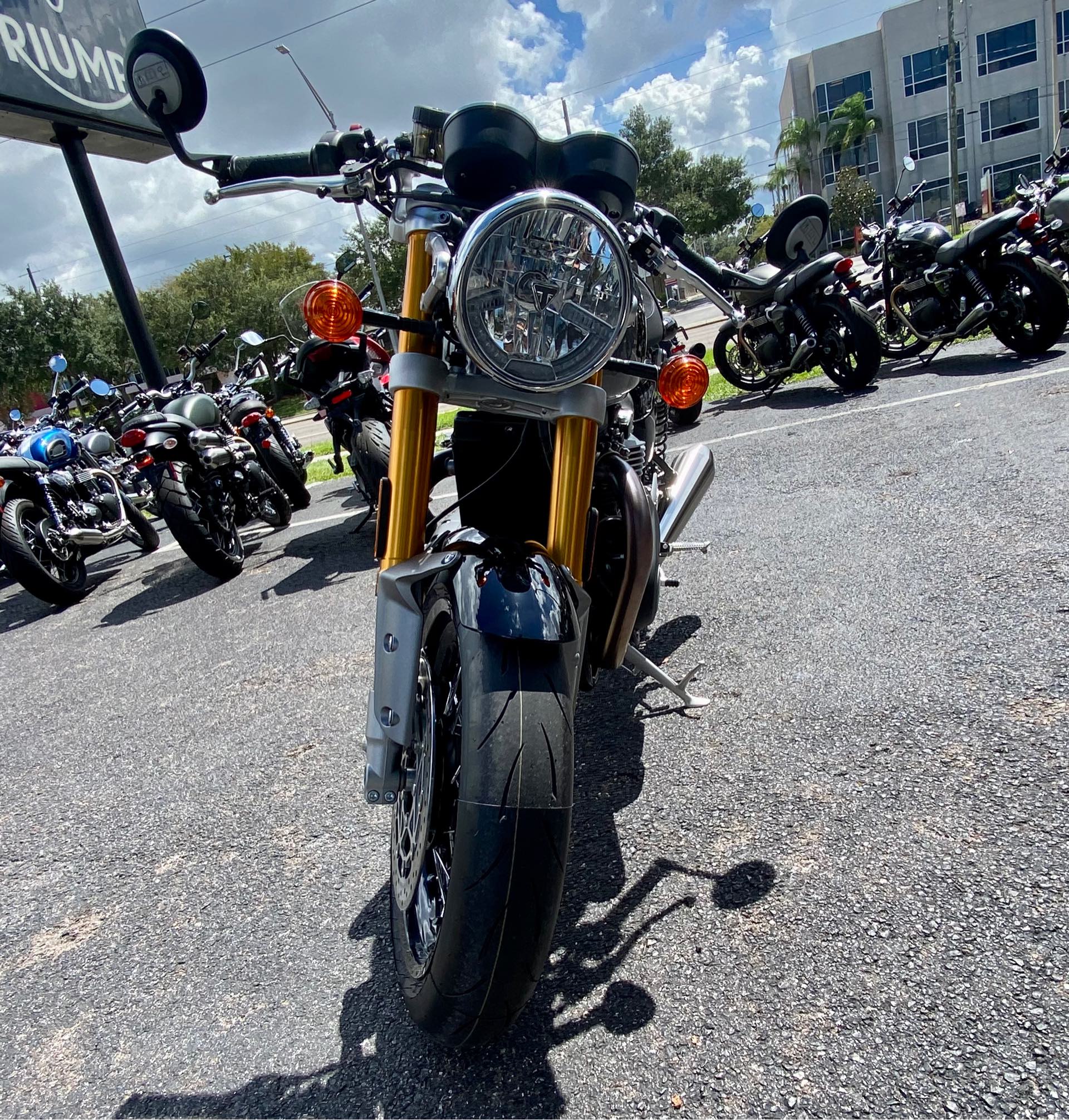 2024 Triumph Thruxton Rs RS at Tampa Triumph, Tampa, FL 33614