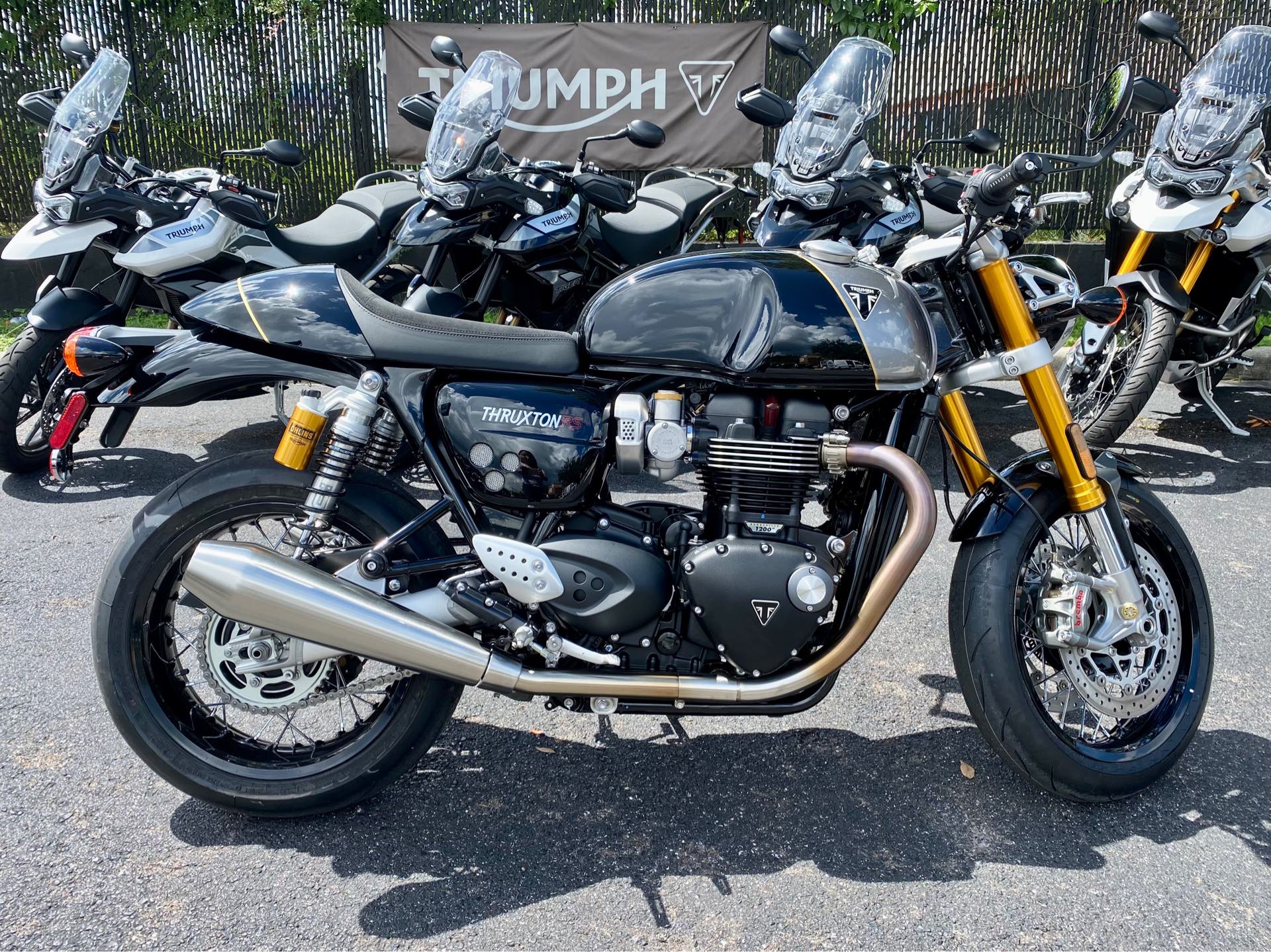 2024 Triumph Thruxton Rs RS at Tampa Triumph, Tampa, FL 33614