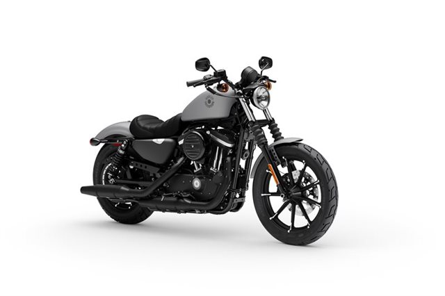2020 Harley-Davidson Sportster Iron 883 at Buddy Stubbs Arizona Harley-Davidson