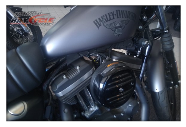 2017 Harley-Davidson Sportster Iron 883 at Bay Cycle Sales