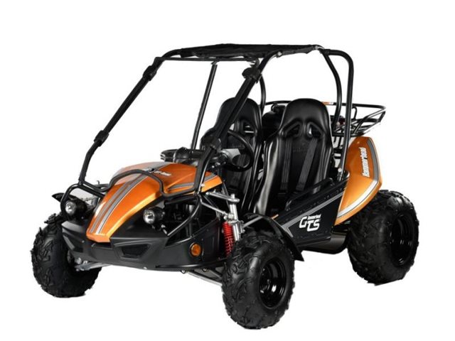 Hammerhead utv online dealers near me