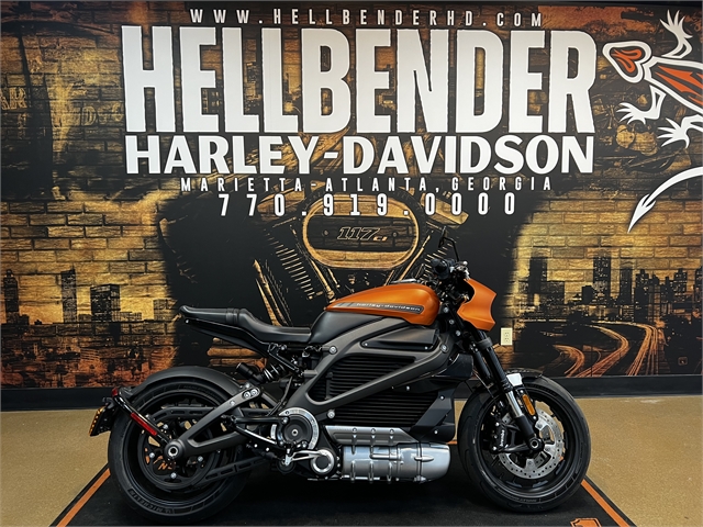 2020 Harley-Davidson Electric LiveWire at Hellbender Harley-Davidson