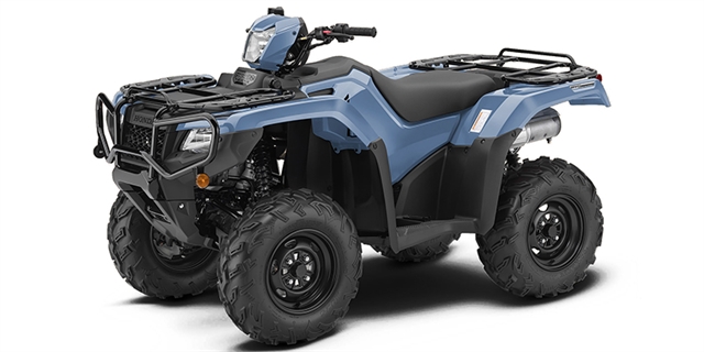 2019 Honda FourTrax Foreman Rubicon 4x4 EPS at Naples Powersports and Equipment