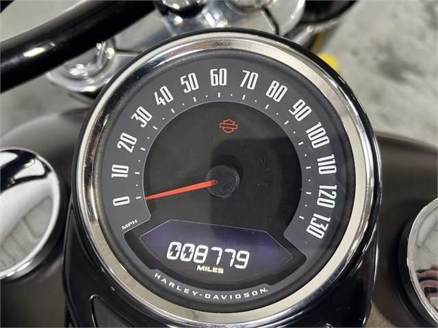 2021 Harley-Davidson FLSL at Worth Harley-Davidson