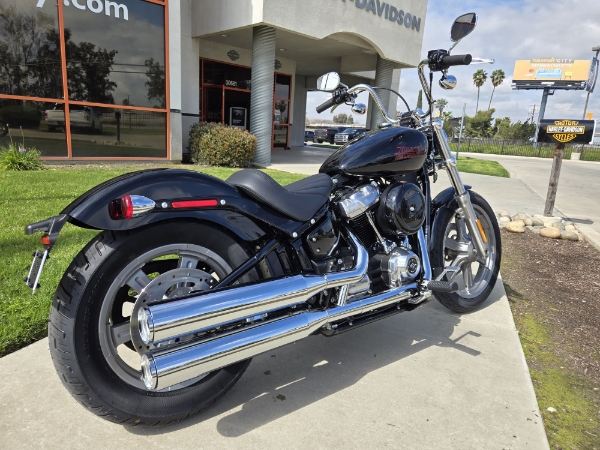 2024 Harley-Davidson Softail Standard at Visalia Harley-Davidson