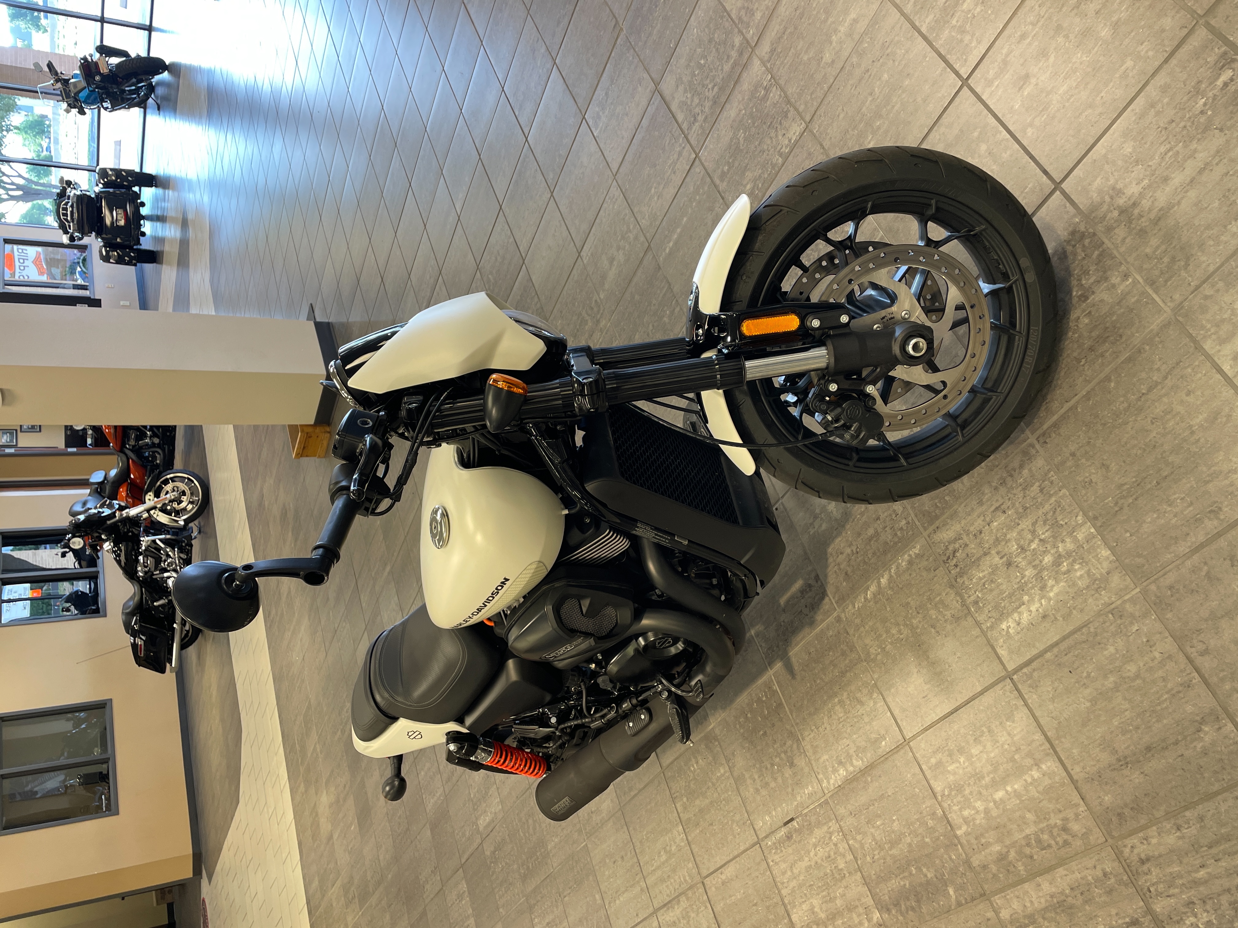 2018 Harley-Davidson Street Rod at Tripp's Harley-Davidson