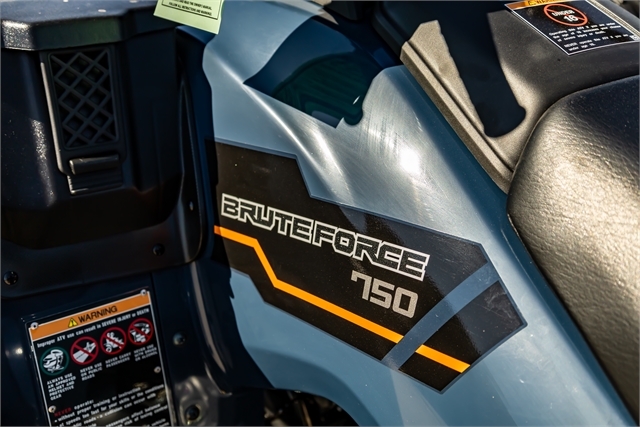 2024 Kawasaki Brute Force 750 EPS at Friendly Powersports Slidell