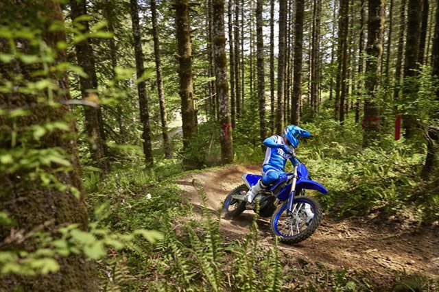 2024 Yamaha YZ 450FX at Arkport Cycles