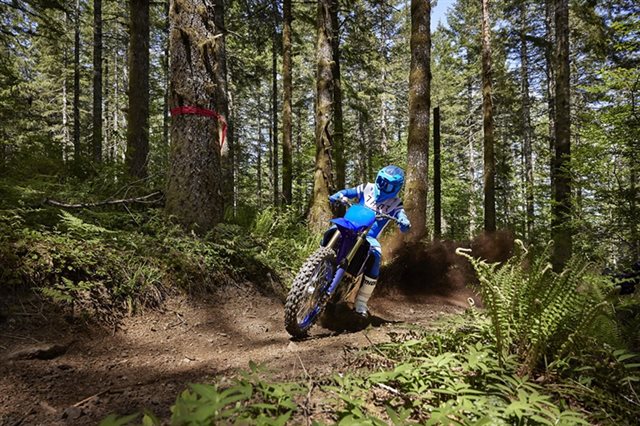 2024 Yamaha YZ 450FX at Arkport Cycles