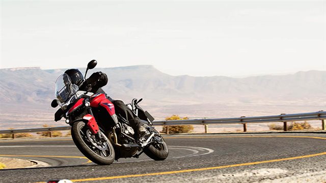 2022 Triumph Tiger 900 GT at Tampa Triumph, Tampa, FL 33614