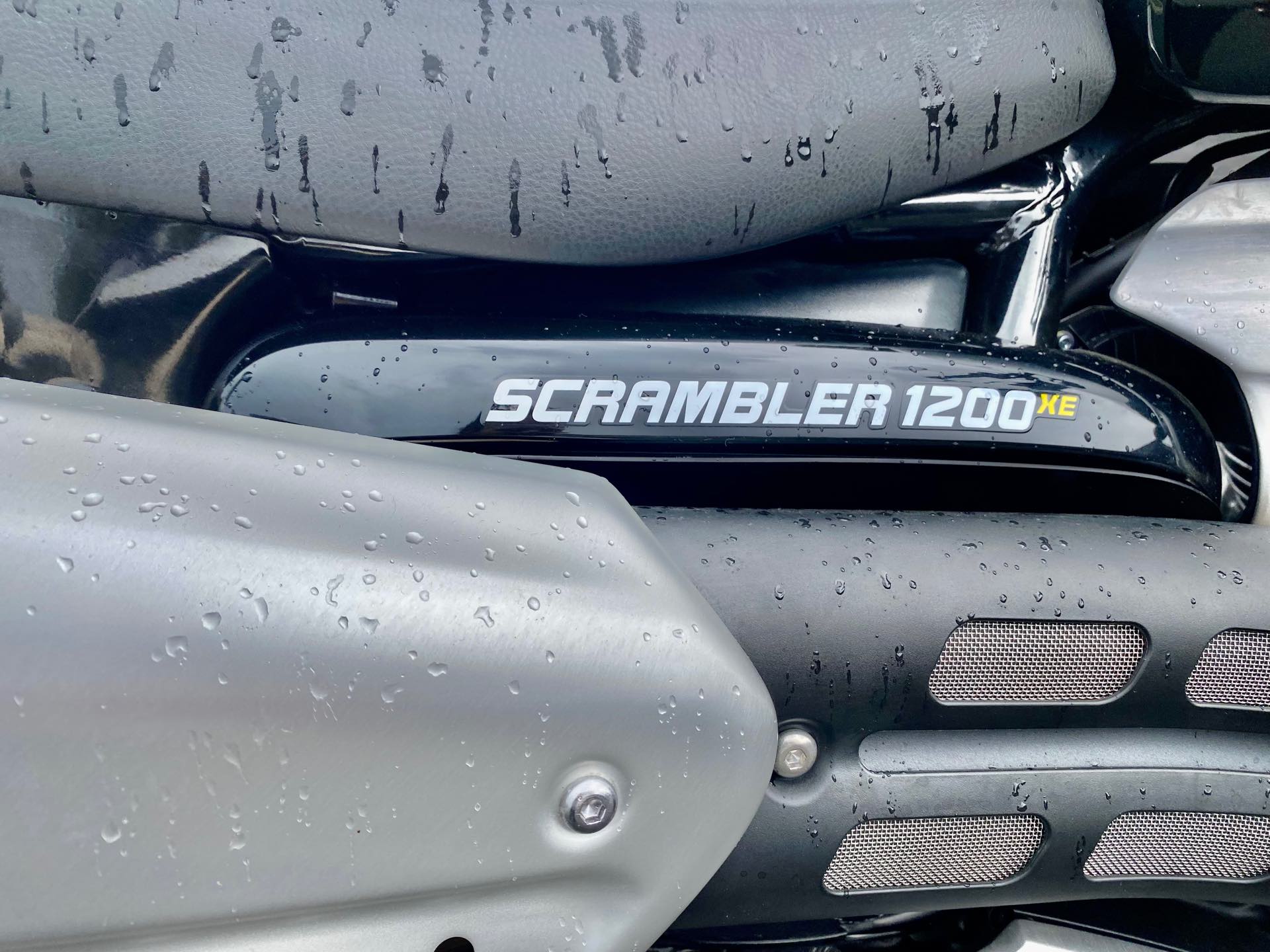 2022 Triumph Scrambler 1200 XE at Tampa Triumph, Tampa, FL 33614