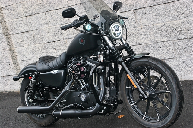 2020 Harley-Davidson Sportster Iron 883 at Ventura Harley-Davidson