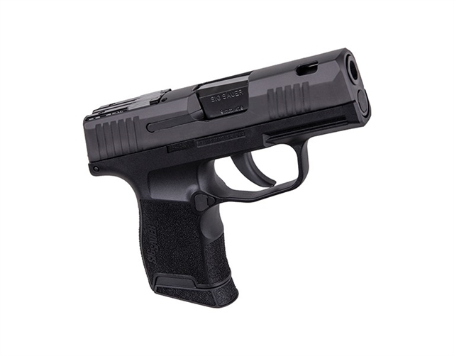 2021 Sig Sauer P365 at Harsh Outdoors, Eaton, CO 80615