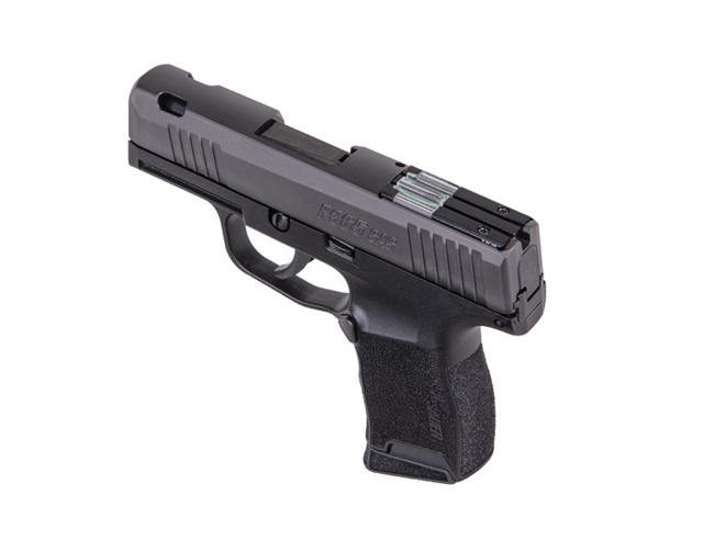 2022 Sig Sauer P365 at Harsh Outdoors, Eaton, CO 80615