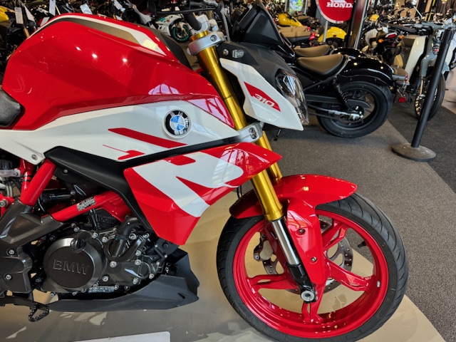 2023 BMW G 310 R at Martin Moto