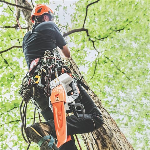 2023 STIHL MSA161 T 12 at McKinney Outdoor Superstore