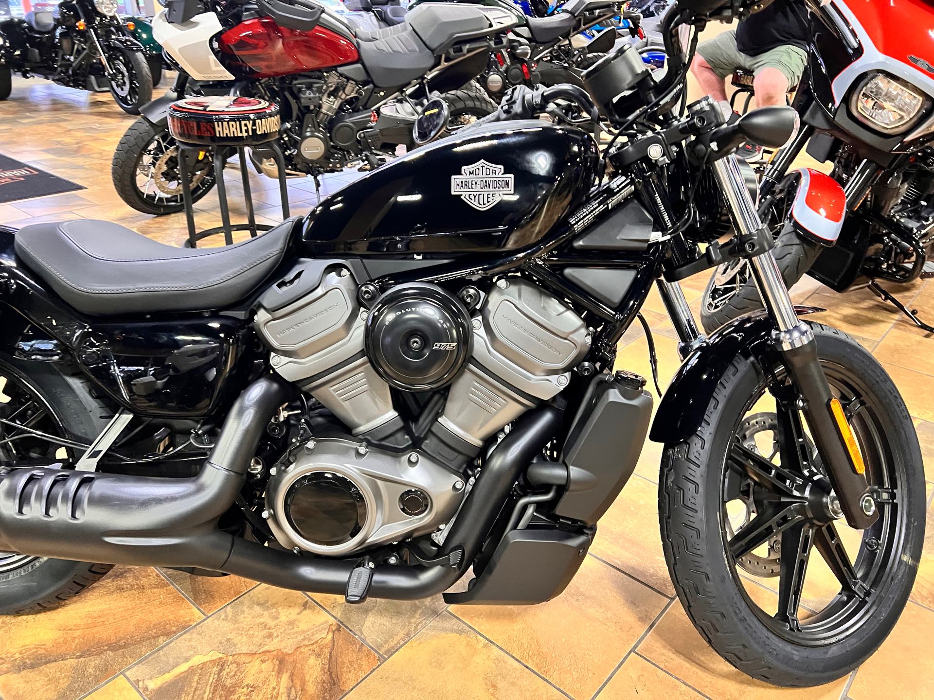 2024 Harley-Davidson Sportster Nightster at Man O'War Harley-Davidson®