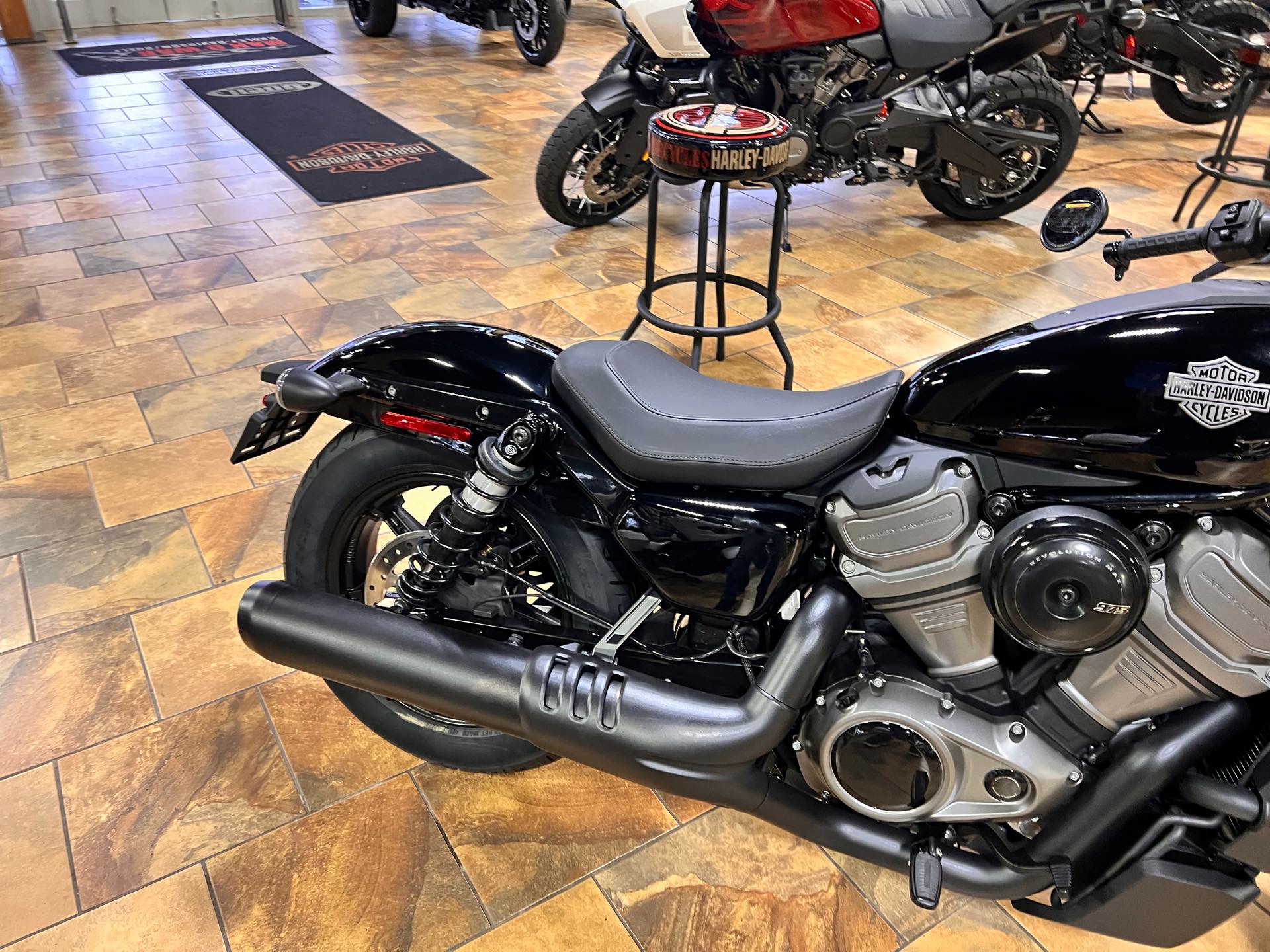 2024 Harley-Davidson Sportster Nightster at Man O'War Harley-Davidson®