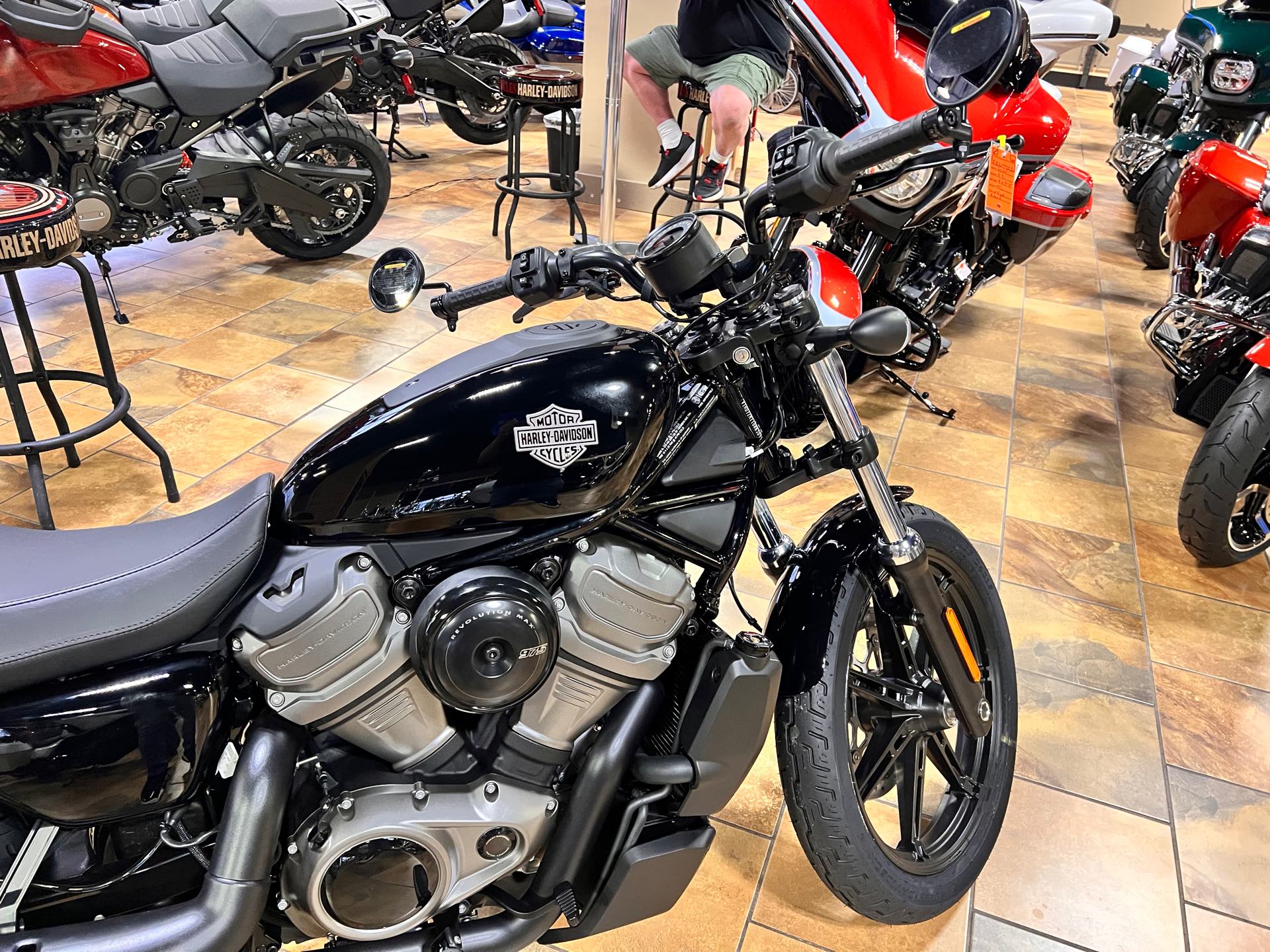 2024 Harley-Davidson Sportster Nightster at Man O'War Harley-Davidson®